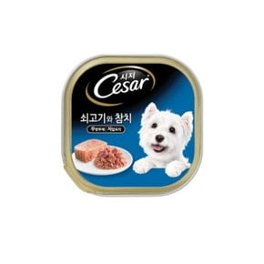 시저 쇠고기와 참치 애견 캔간식 100g