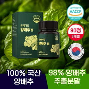 국산 양배추정 캐비지 양배추환 분말 비타민U 효능 90정 3개월분