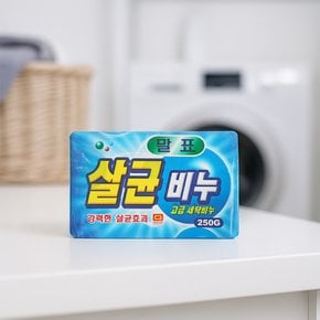 천광 말표 살균 세탁비누 250g x 1개