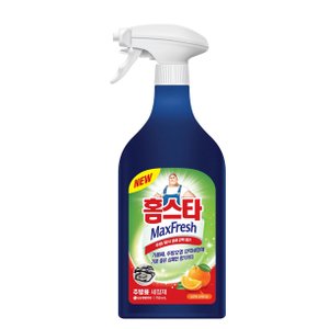 엘지생활건강 홈스타 주방용 세정제 750ML