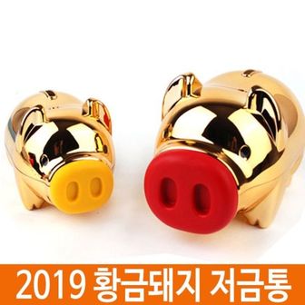 핫트랙스 2019 돼지저금통 황금돼지저금통W2D48E1