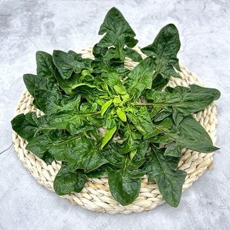 남도미향 해풍맞은 신안 도초도 사계절 섬초 시금치 2kg