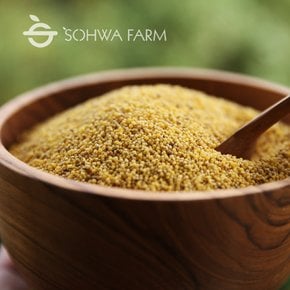 2025년 메좁쌀 1kg (메조 모조)