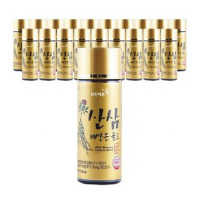 부모님선물 20병 영진 산삼배양근 골드 100ml 홍삼음료 고급음료 음료선물 거래처 사은품 홍보선물 학교