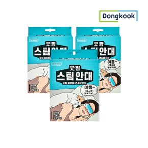 [동국]굿잠 스팀안대 10매입 x 3개