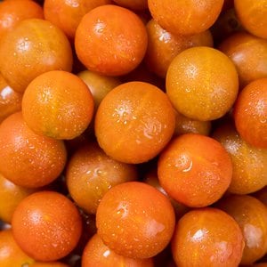 신세계푸드 아삭달콤 네뷸라 방울토마토 500g