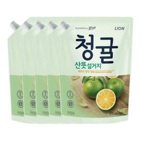 기름기제거 참그린 주방세제 청귤산뜻설거지 리필 1kg 5개