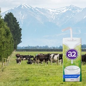 a2 밀크™ 오리지널 200ml*6개입 (멸균우유)