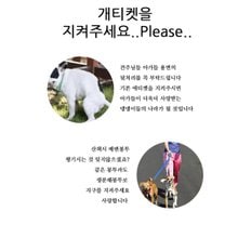 강아지 생분해 친환경 옥수수 배변봉투 리필용 휴대용 반려동물 똥 애완용품 산책 풉백