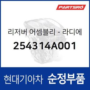 순정 라디에이터 리저버 냉각수통 보조물통 (254314A001)  리베로, 스타렉스