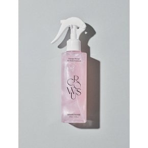 데미지 테라피 노워시 트리트먼트 EX 250ml