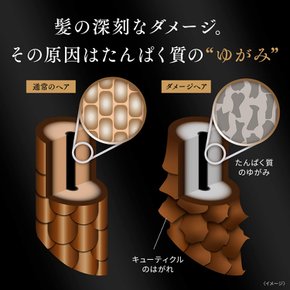 [대용량] 럭스 (Lux) 바이오퓨전 데미지 디펜스 샴푸 리필용 아미노산 400g