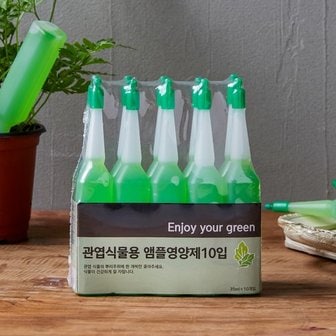  BFA관엽식물용 앰플영양제