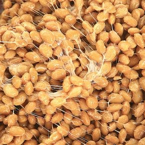 일본 60년 전통 시가야 낫또 4세트(50g 총12팩)