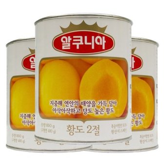 텐바이텐 농심 과일 알쿠니아 황도2절 850g 3개-과일캔 복숭아 통조림