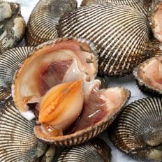 다농이네 당일작업 여수 피꼬막 피조개 10kg (66-91미) [수/목/금 발송]