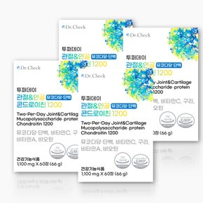 투퍼데이 관절연골 콘드로이친1200 4박스 (4개월분)
