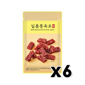 홍선 일품통육포 술안주간식 40g x 6개