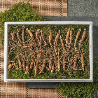 자연두레 강원도 산이키운삼 5~7년근 진품 산양삼 100g 세트