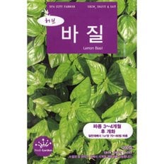 2025 씨앗 허브 레몬 바질 (WFGUM0X)