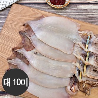 옥도건어물 최상품 반건조오징어 10미(아이스박스포장)