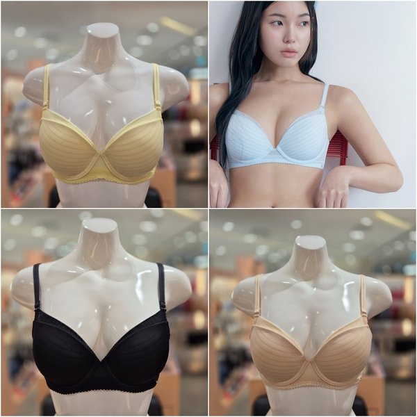 확대된 대표 IMAGE1