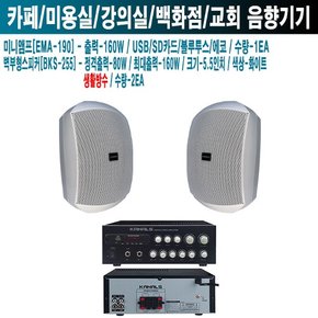 미용실 식당 카날스 앰프 스피커 EMA-190 BKS-255 W