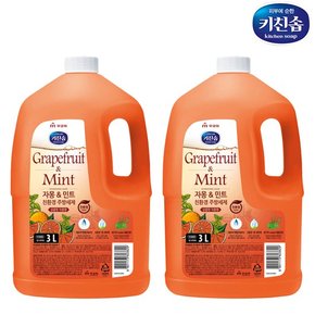 키친솝 자몽&민트 친환경주방세제 3L용기 x2