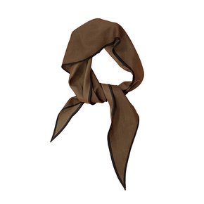 Silk Coloured Scarf (Brown)