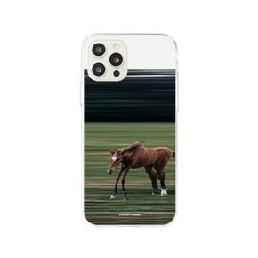 Horse Case