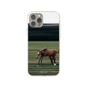 Horse Case