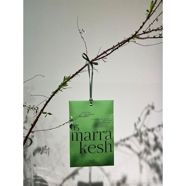 차량용,옷장 방향제 퍼퓸샤쉐 4+1