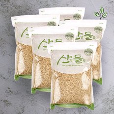 [명절 후 배송] [산담들담] 우리잡곡 찰현미1kgx5팩(5kg)