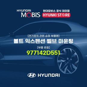 볼트 익스펜션 벨브 마운팅 (977142D551)