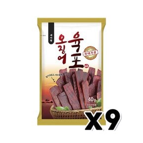 세아랑 오징어육포 술안주간식 40g x 9개