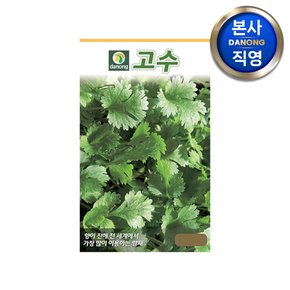 건강 고수 씨앗 500g . 채소 야채 텃밭 파종 재배 주말 농장 씨 종자