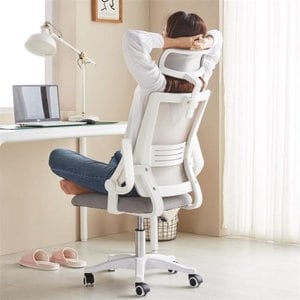 텐바이텐 파스텔 사무용 학생 공부 컴퓨터 책상의자 사무실 메쉬 헤드형 의자