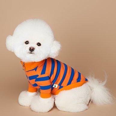 칵테일 아노락 강아지 티셔츠 S~2XL (Orange, Blue Color)