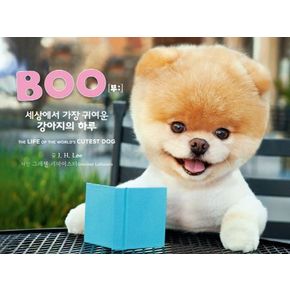Boo 세상에서 가장 귀여운 강아지의 하루