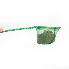 아마존 뉴 뜰채 중 물고기뜰채 어항뜰채 수족관뜰채