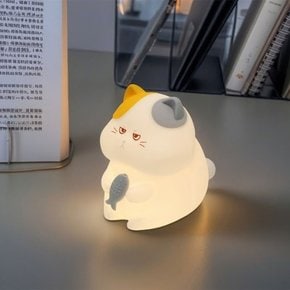 생선 고양이 실리콘 무드등