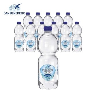  산베네데토 탄산수 (페트) 500ml X 12병 플레인