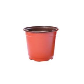 일회용 연직 플라스틱 모종 파종 화분 중형 (S31891084)