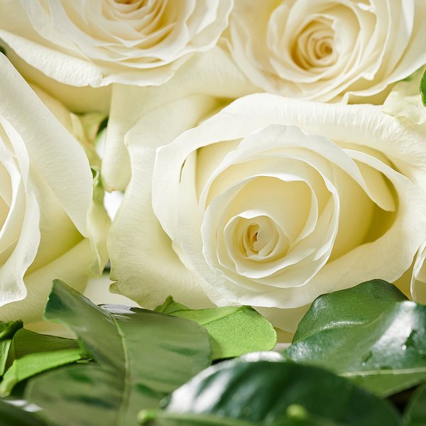 자주 화이트 플로럴 퍼퓸바 100g J81N902050000