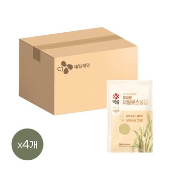 CJ제일제당 백설 브라운 자일로스 설탕 5kg x4개