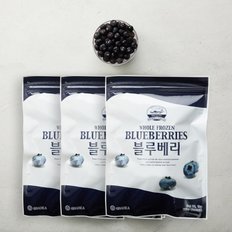 냉동 블루베리 칠레산 1kg x 3개 베리필드