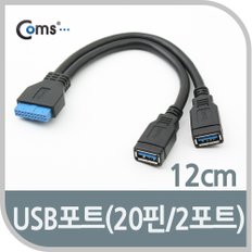 USB 3.0 젠더(Y형), A(Fx2)/20P(F) NA260