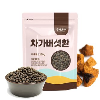 자연초 차가버섯환 250g