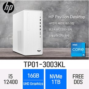 파빌리온 TP01-3003KL - 램 16GB / NVMe 1TB / FREEDOS