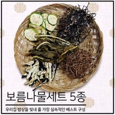 하늘농가 건나물 보름나물 5종세트